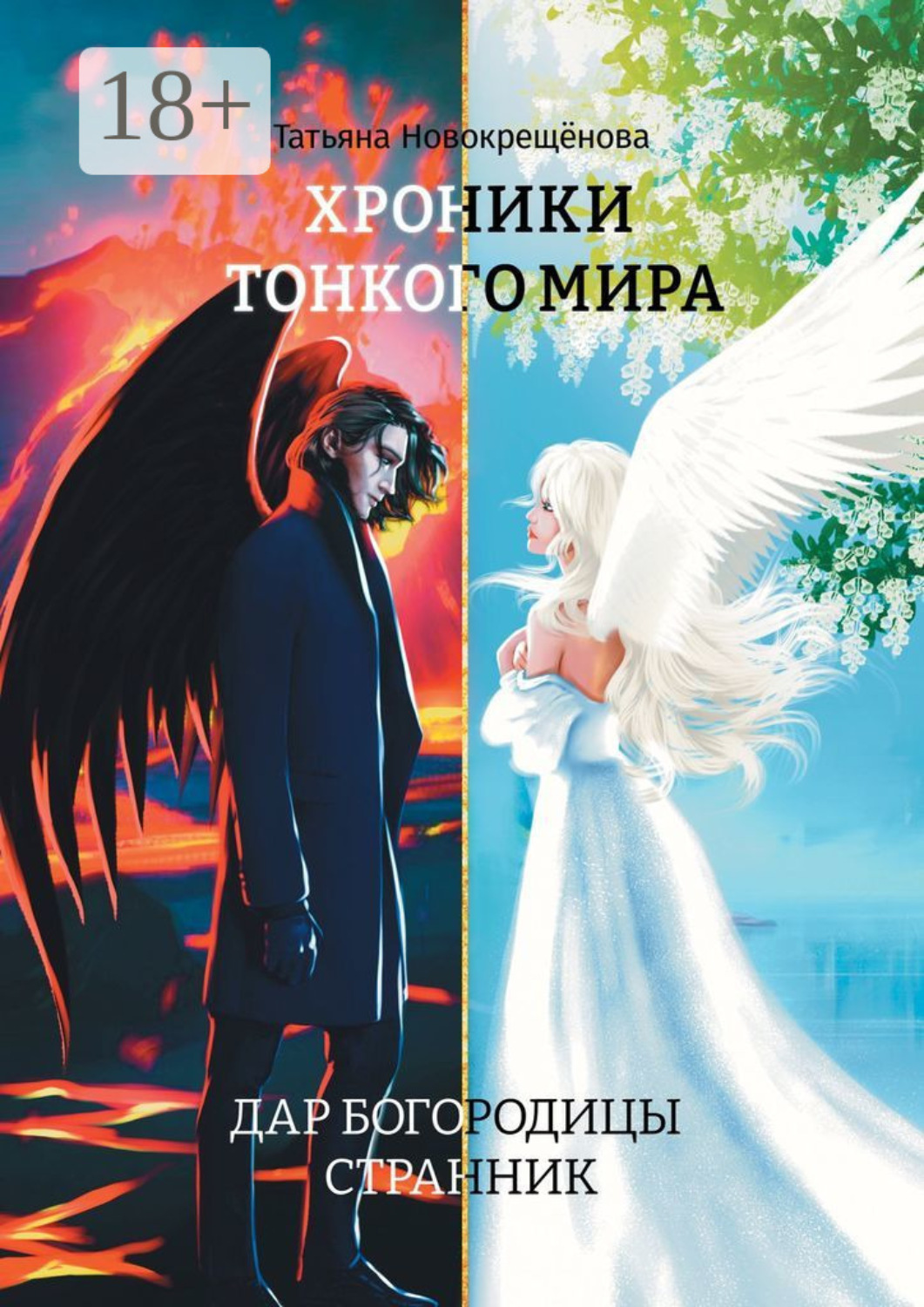 Обложка книги «Хроники тонкого мира. Дар Богородицы. Странник»