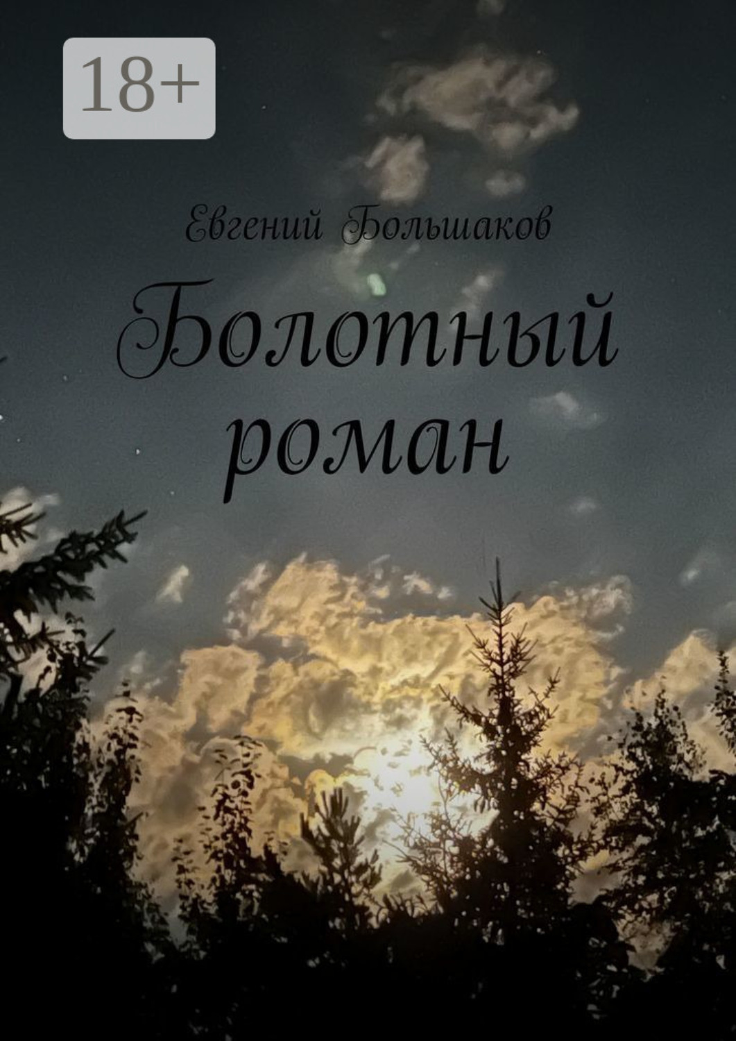 Обложка книги «Болотный роман»