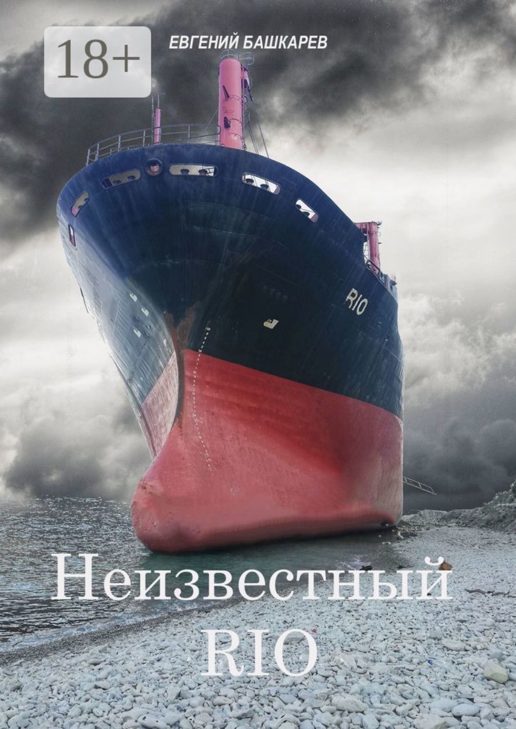 Обложка книги «Неизвестный «Rio»»