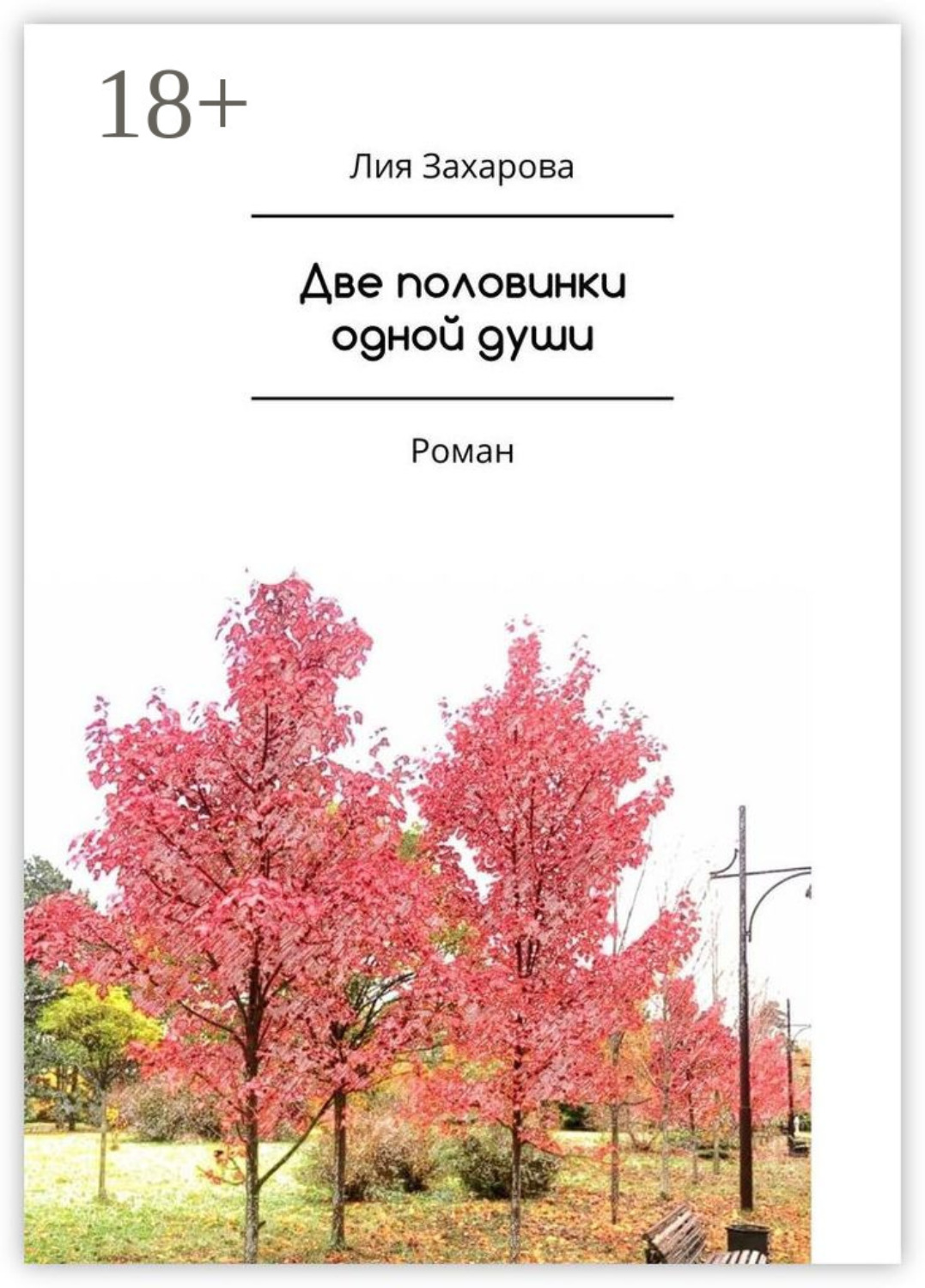 Обложка книги «Две половинки одной души»