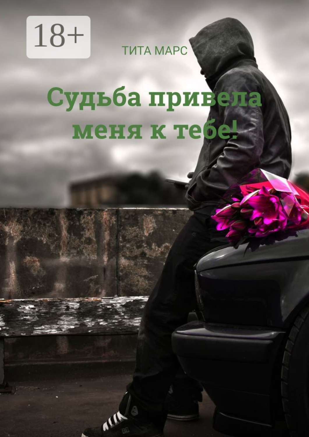 Обложка книги «Судьба привела меня к тебе!»