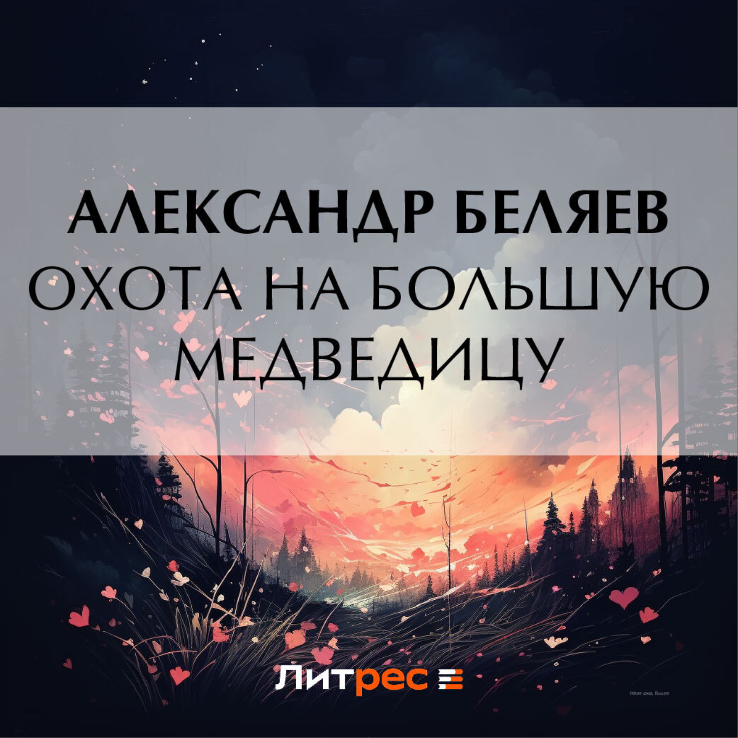 Обложка книги «Охота на Большую Медведицу»