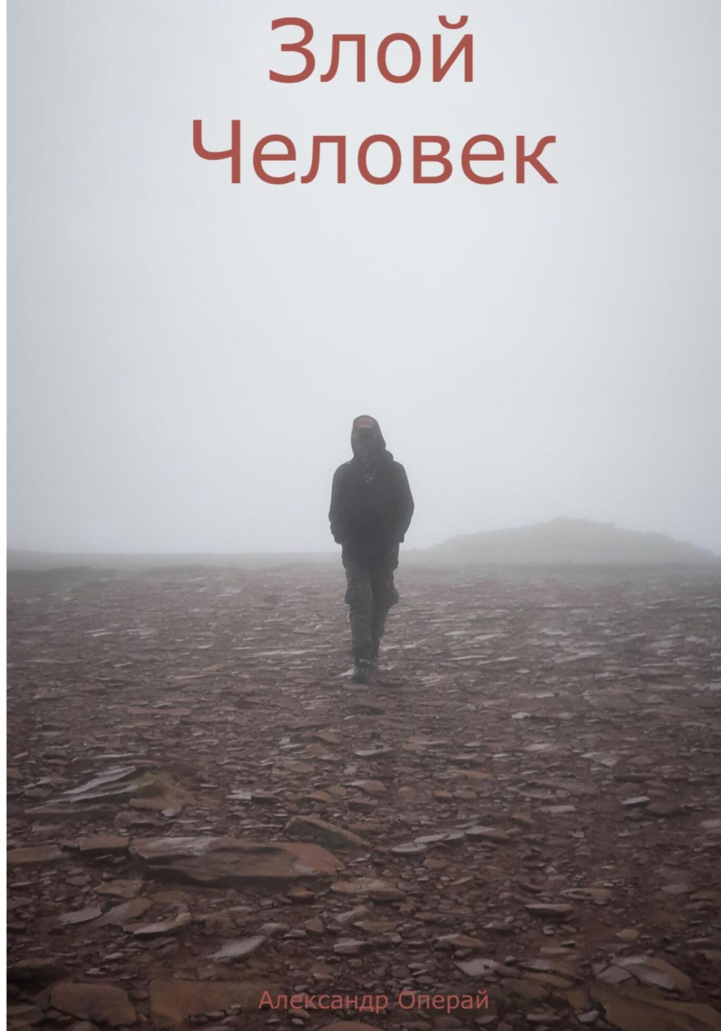 Обложка книги «Злой человек»