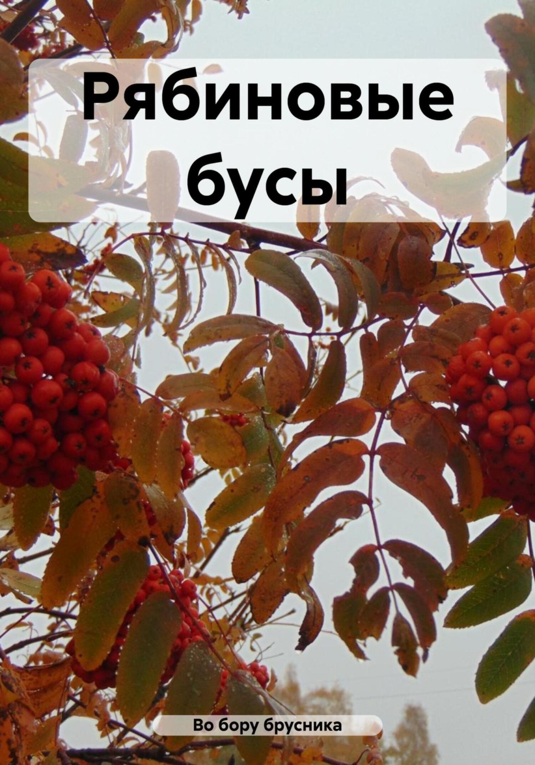 Обложка книги «Рябиновые бусы»