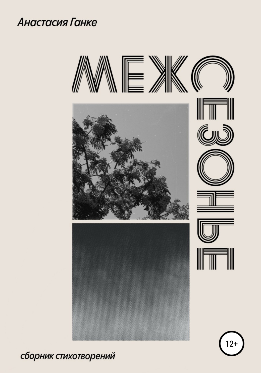 Обложка книги «Межсезонье. Сборник стихотворений»