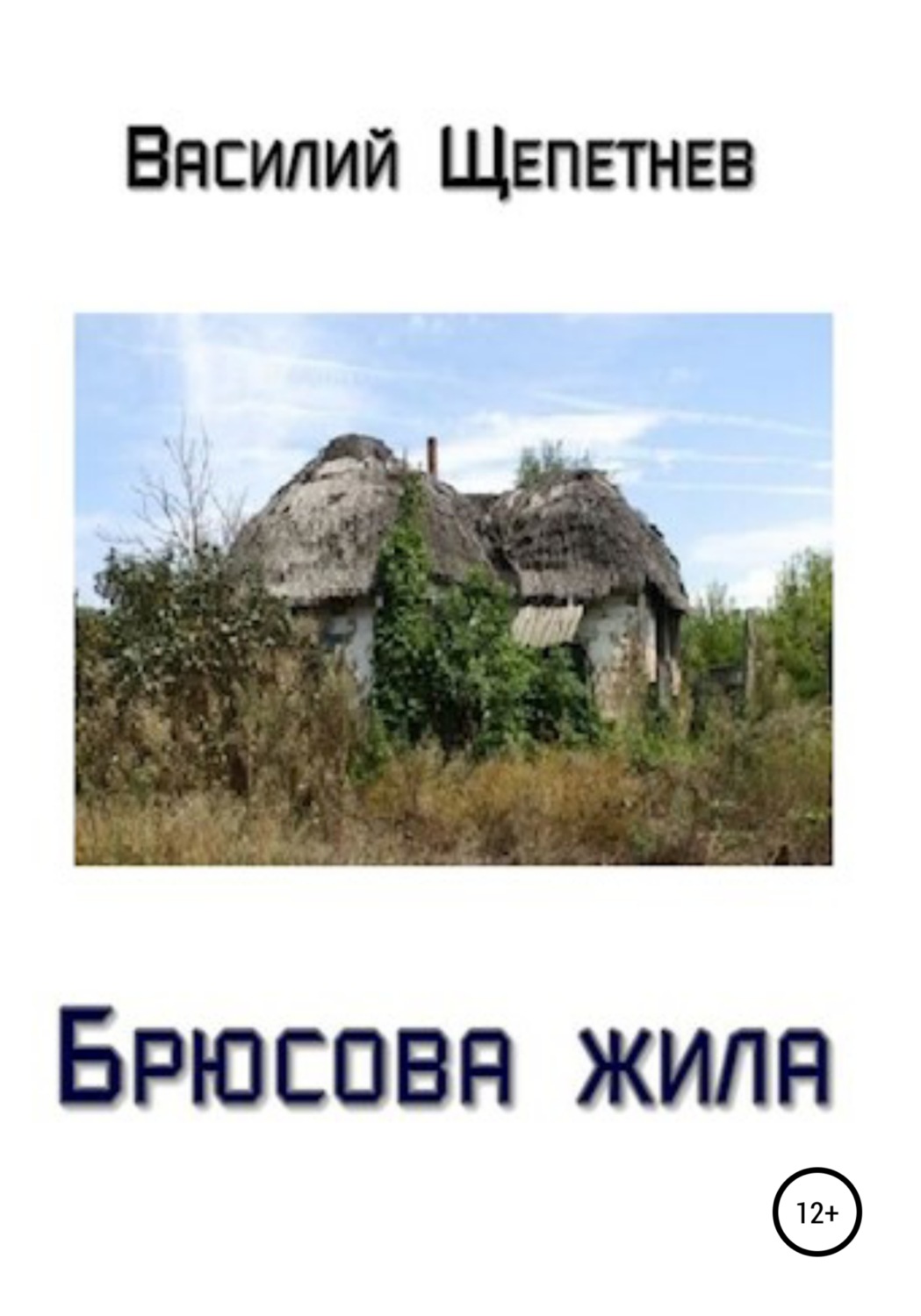 Обложка книги «Брюсова жила»