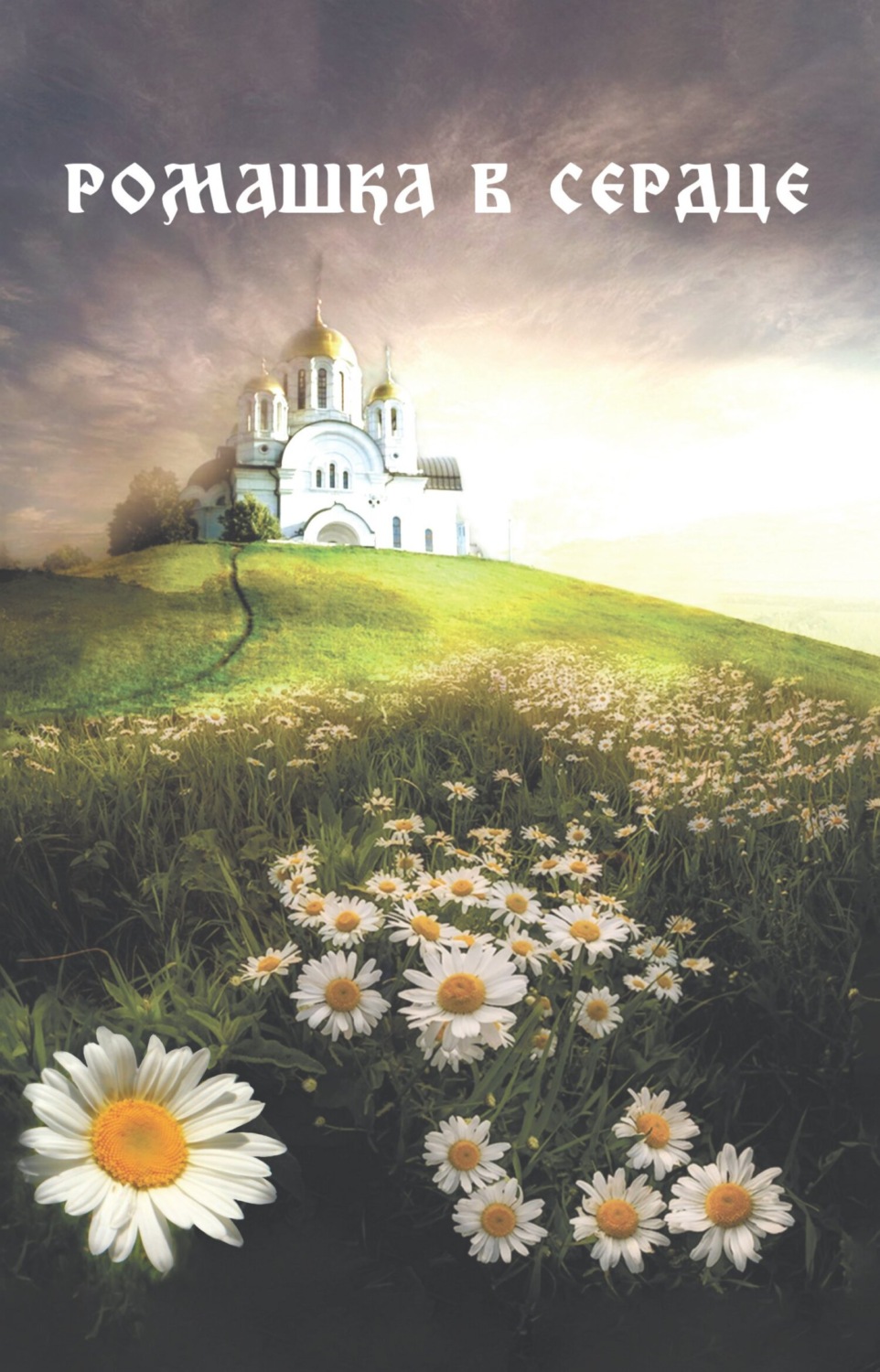 Обложка книги «Ромашка в сердце»