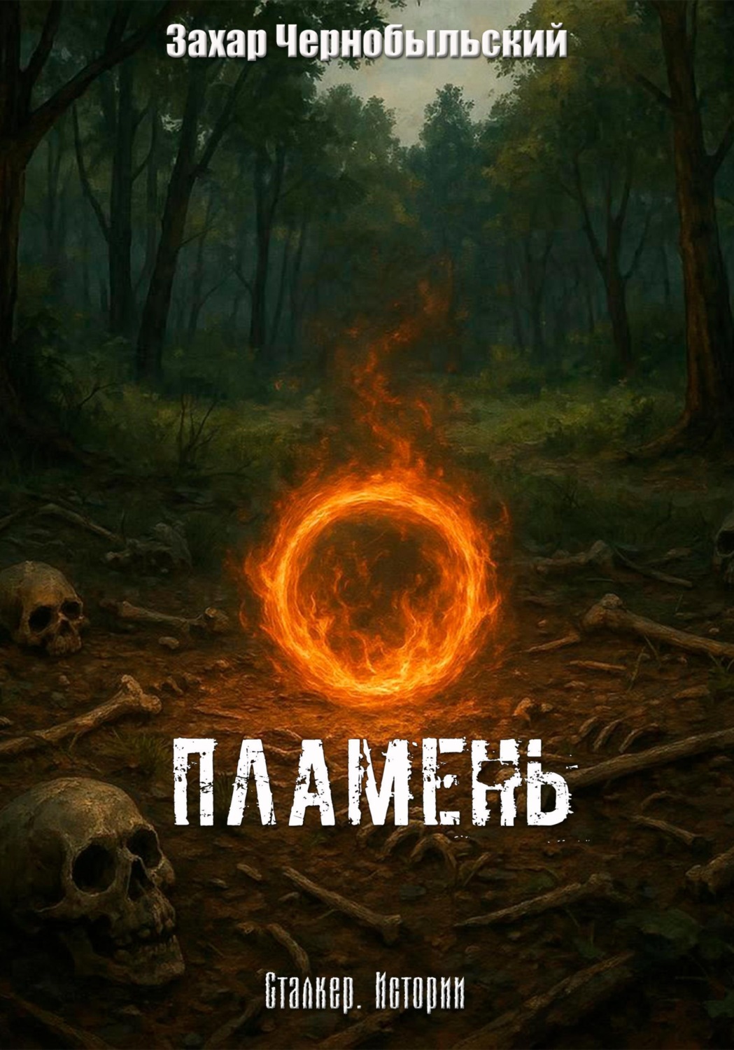 Обложка книги «Сталкер. Истории. Пламень»