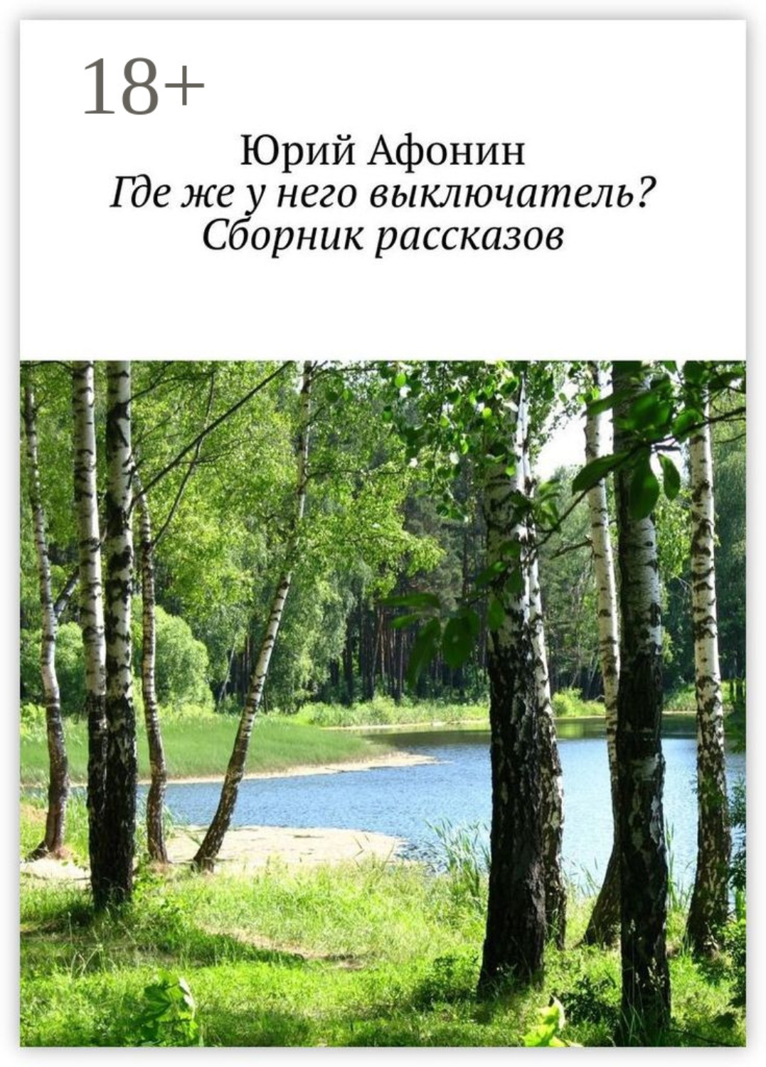 Обложка книги «Где же у него выключатель? Сборник рассказов»