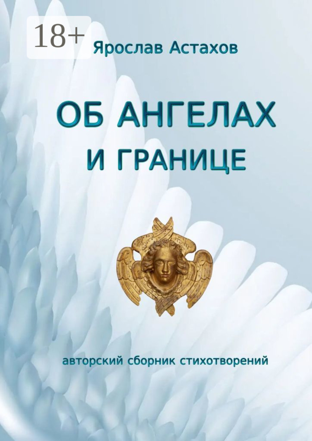 Обложка книги «Об ангелах и границе. Авторский сборник стихотворений»