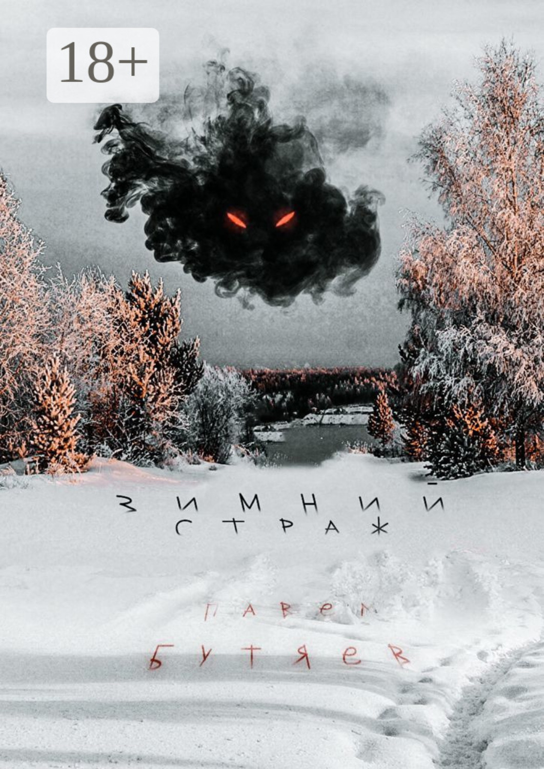 Обложка книги «Зимний Страж»
