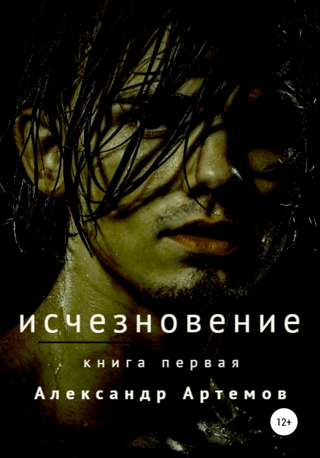 Обложка книги «Исчезновение»
