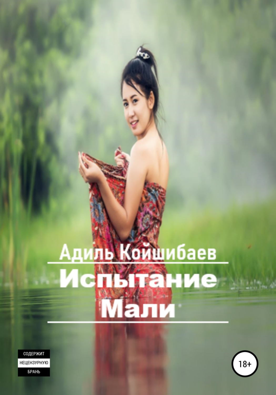 Обложка книги «Испытание Мали»