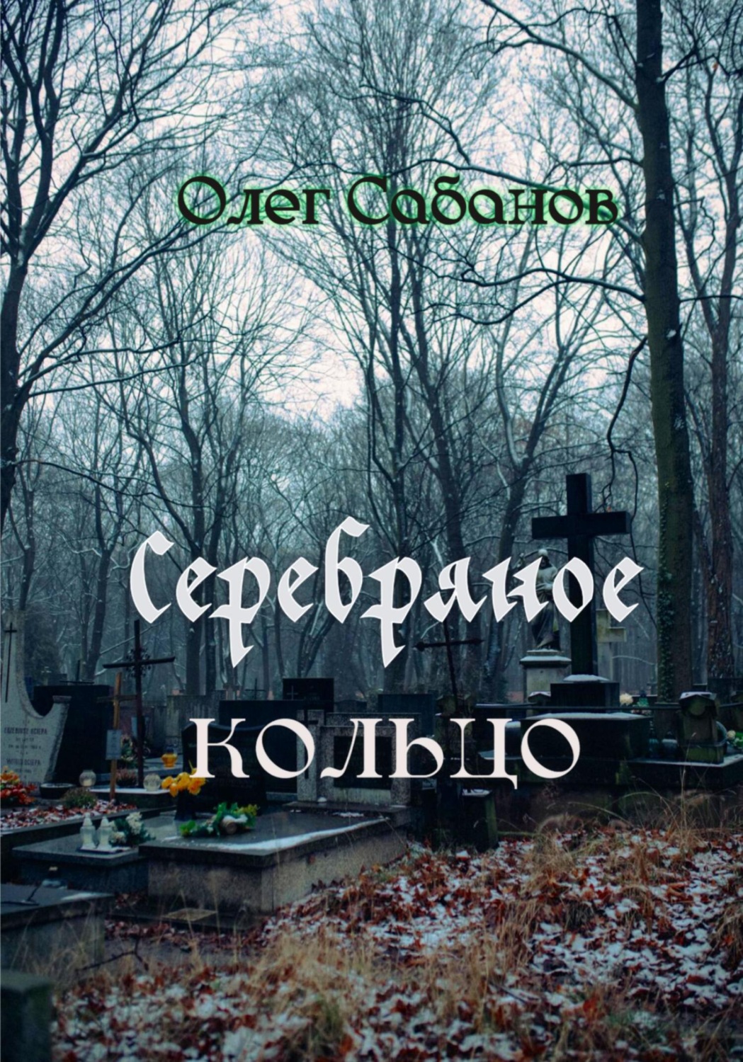 Обложка книги «Серебряное кольцо»