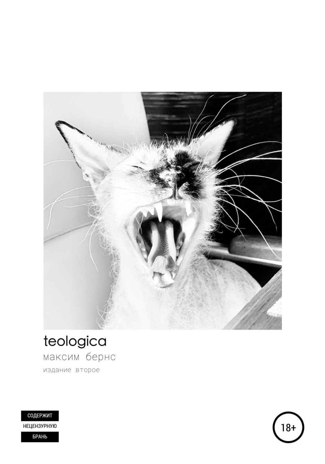 Обложка книги «Teologica»