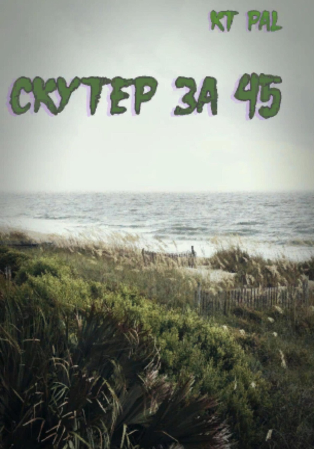 Обложка книги «Скутер за 45»