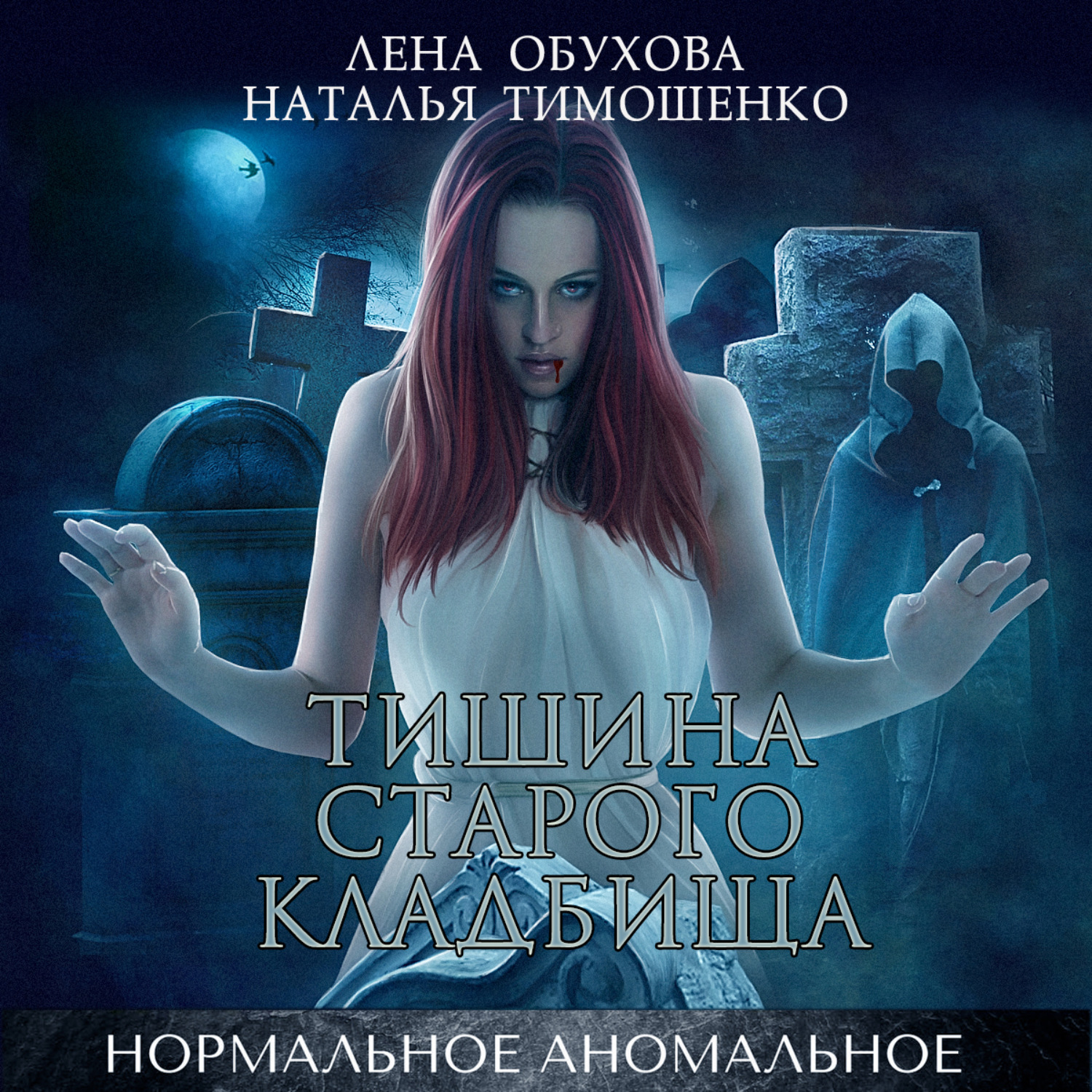 Обложка книги «Тишина старого кладбища»