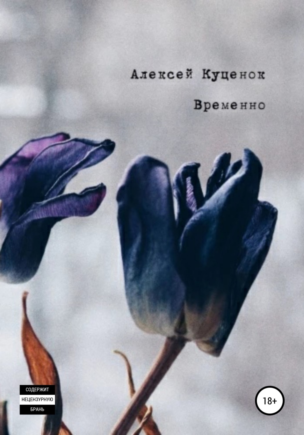 Обложка книги «Временно»