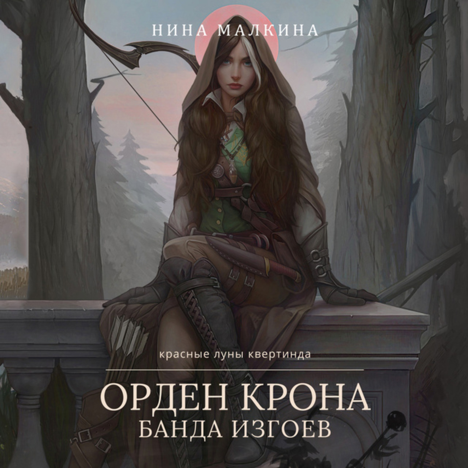 Обложка книги «Орден Крона. Банда изгоев»