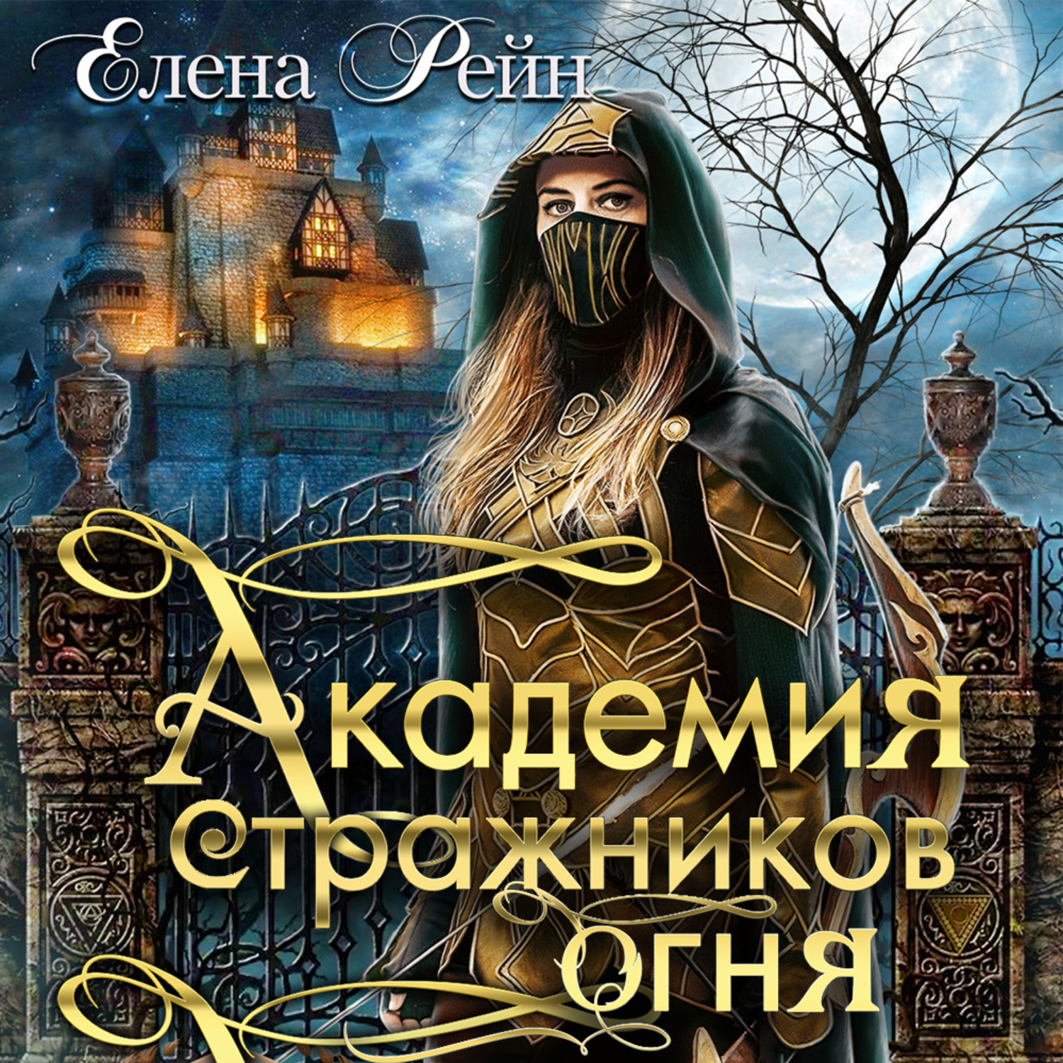Обложка книги «Академия стражников огня»