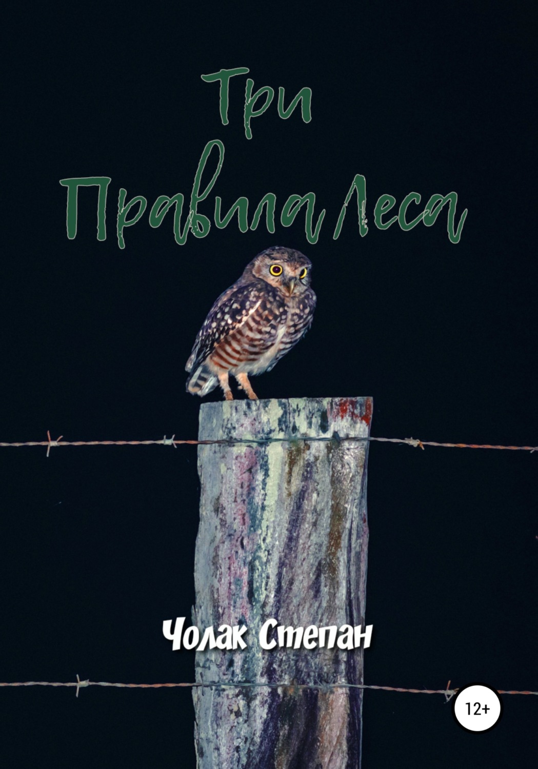 Обложка книги «Три правила леса»