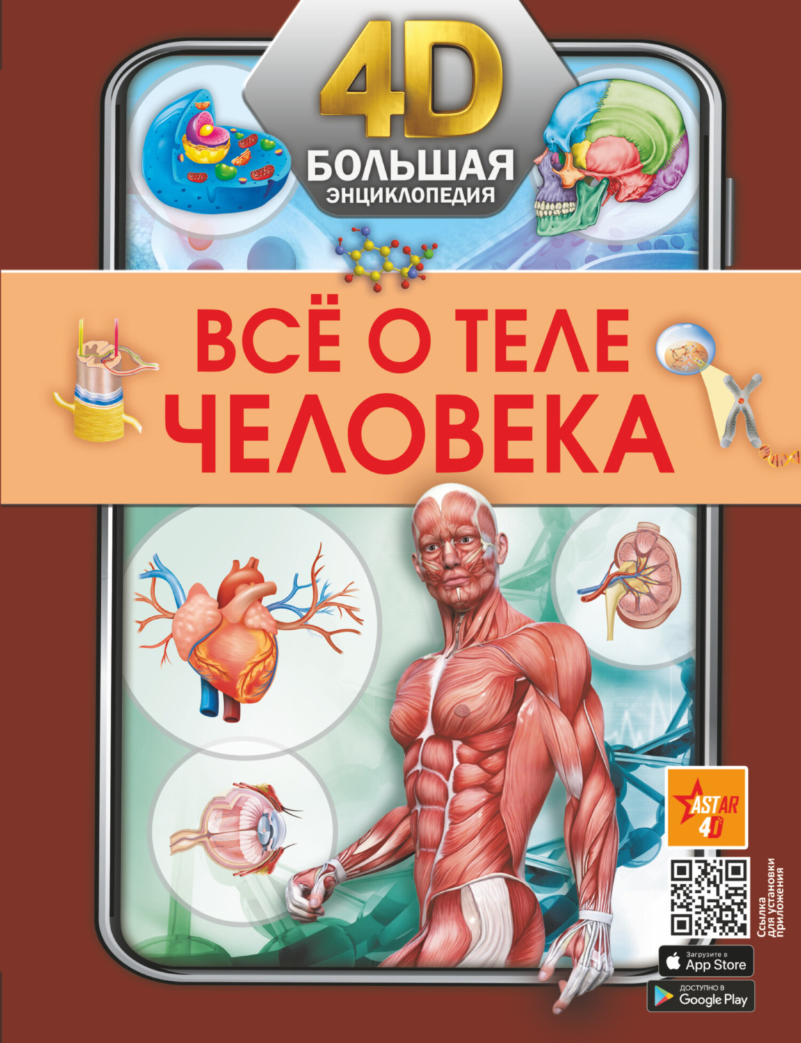 Обложка книги «Всё о теле человека»