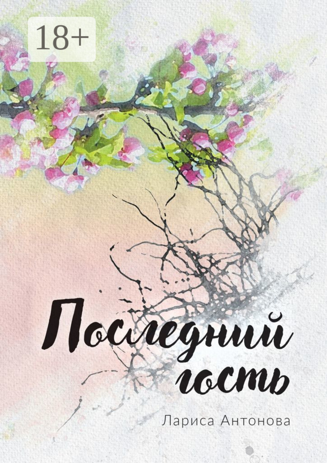 Обложка книги «Последний гость»