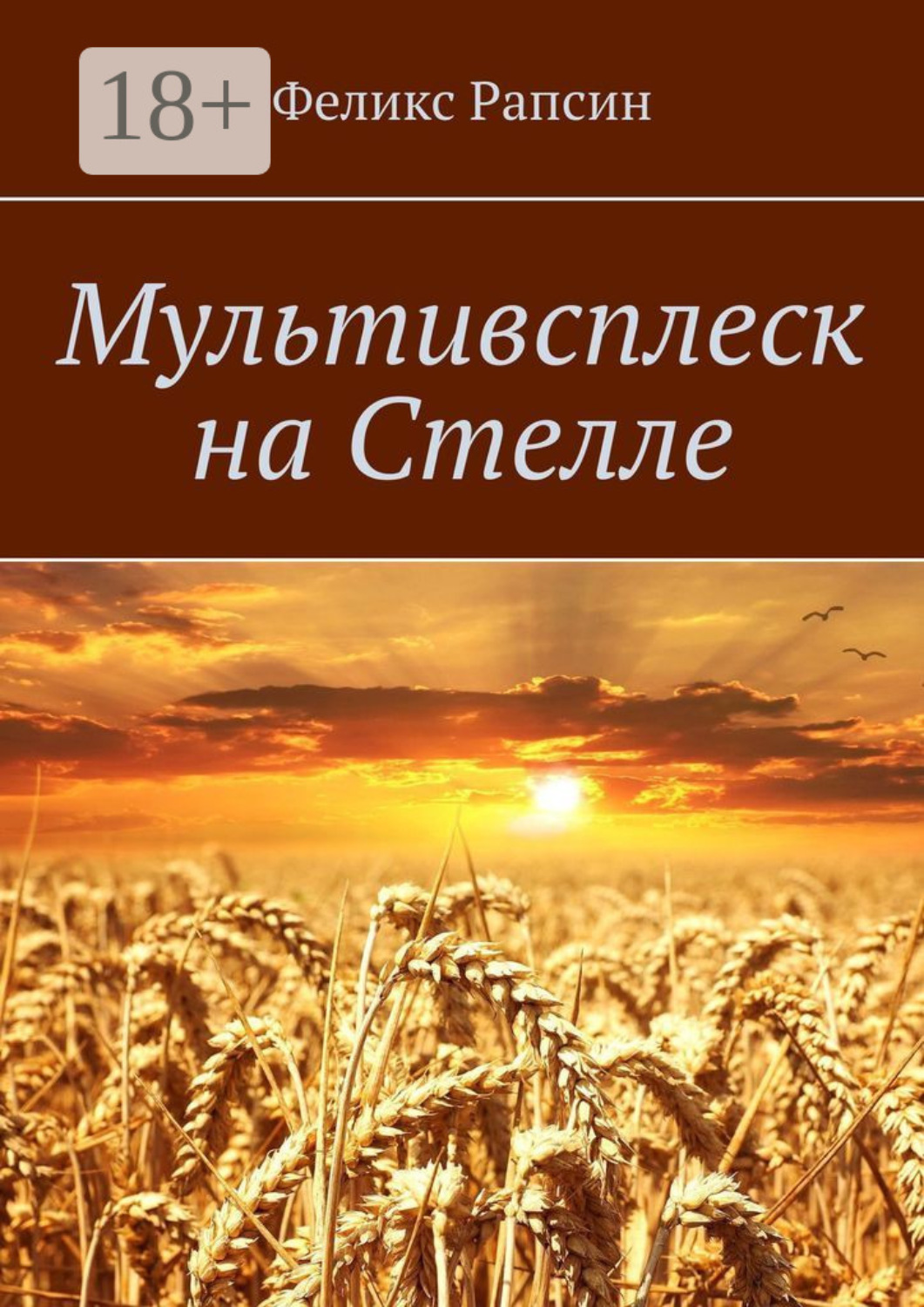 Обложка книги «Мультивсплеск на Стелле»