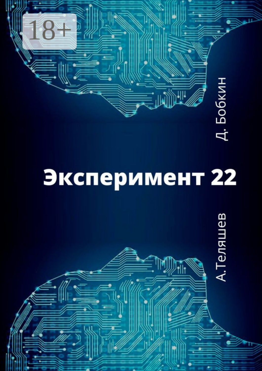 Обложка книги «Эксперимент-22»