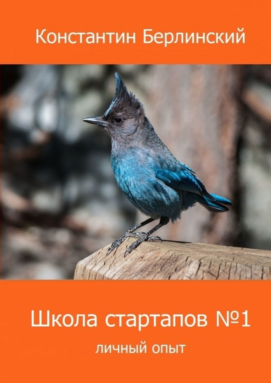 Обложка книги «Школа стартапов №1: Личный опыт. 2-ое издание с иллюстрациями»