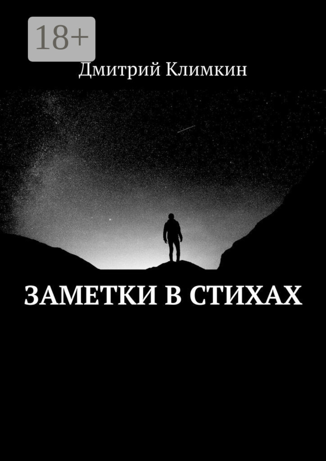 Обложка книги «Заметки в стихах»