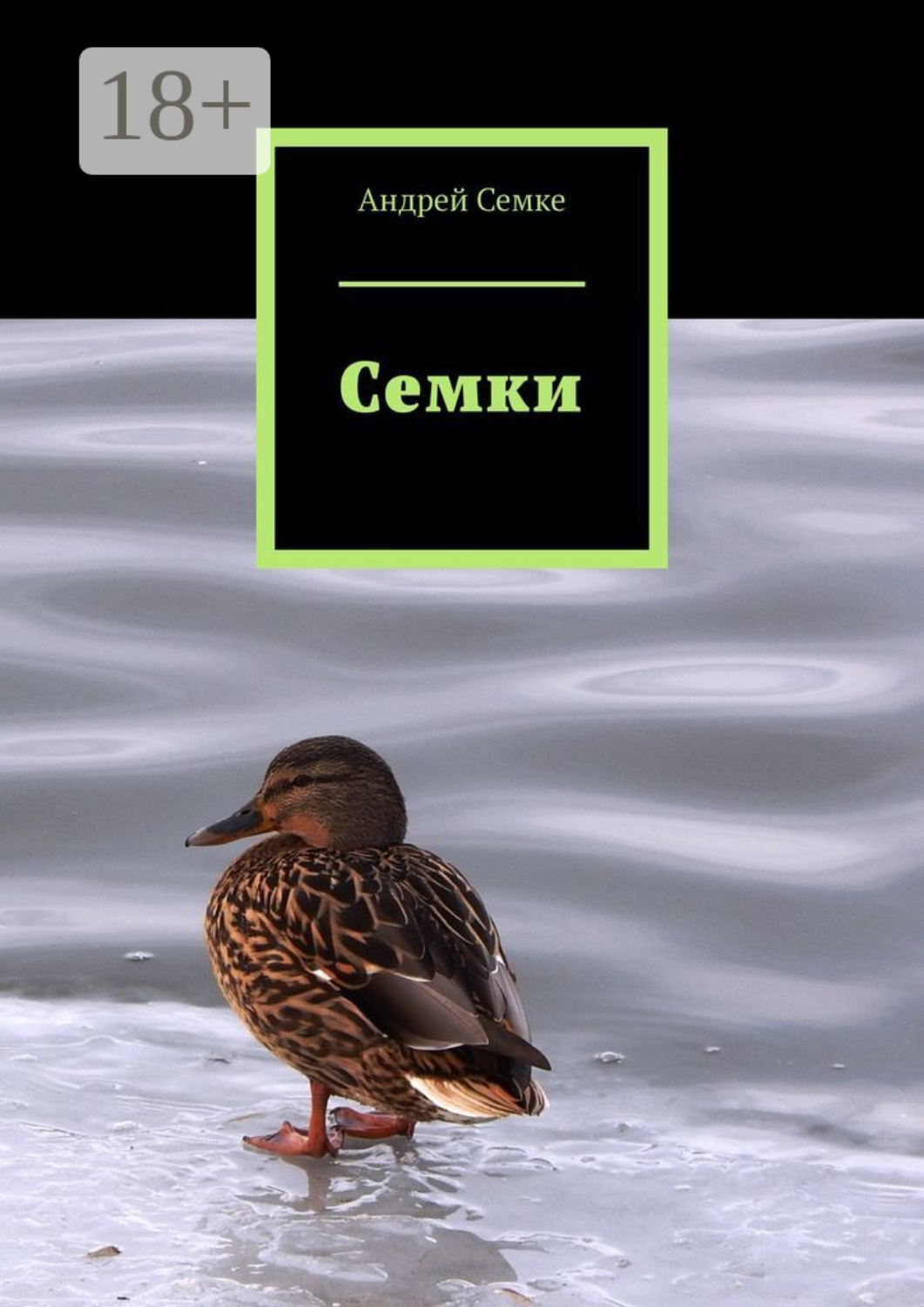 Обложка книги «Семки»