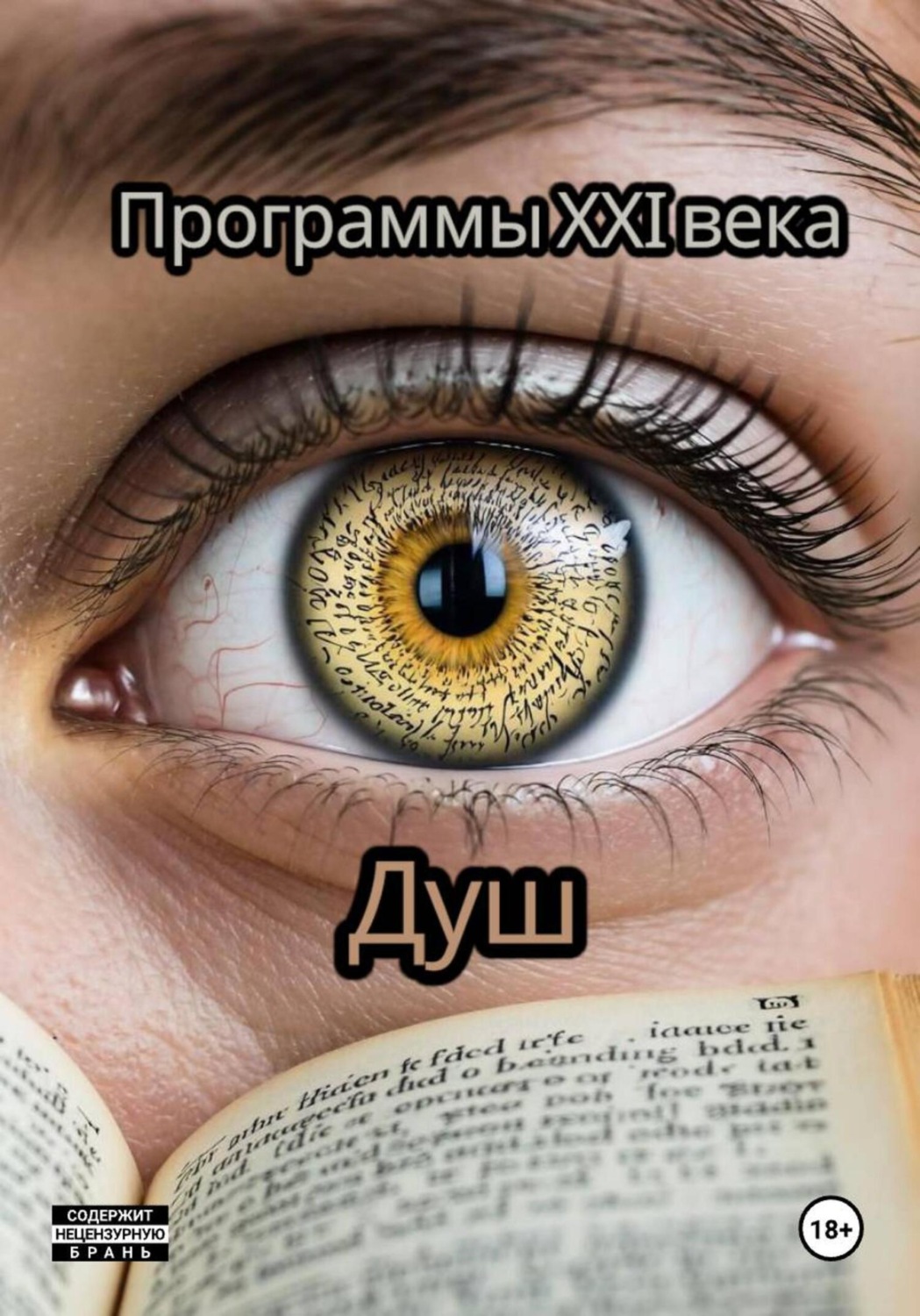 Обложка книги «Программы 21 века»