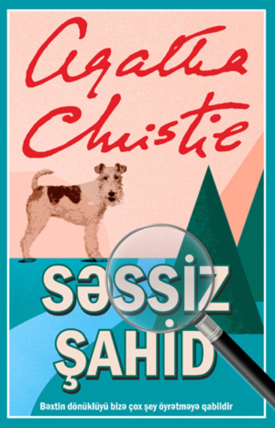 Обложка книги «Səssiz şahid»