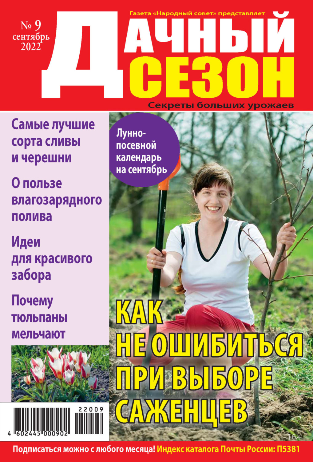 Обложка книги «Дачный сезон №09/2022»