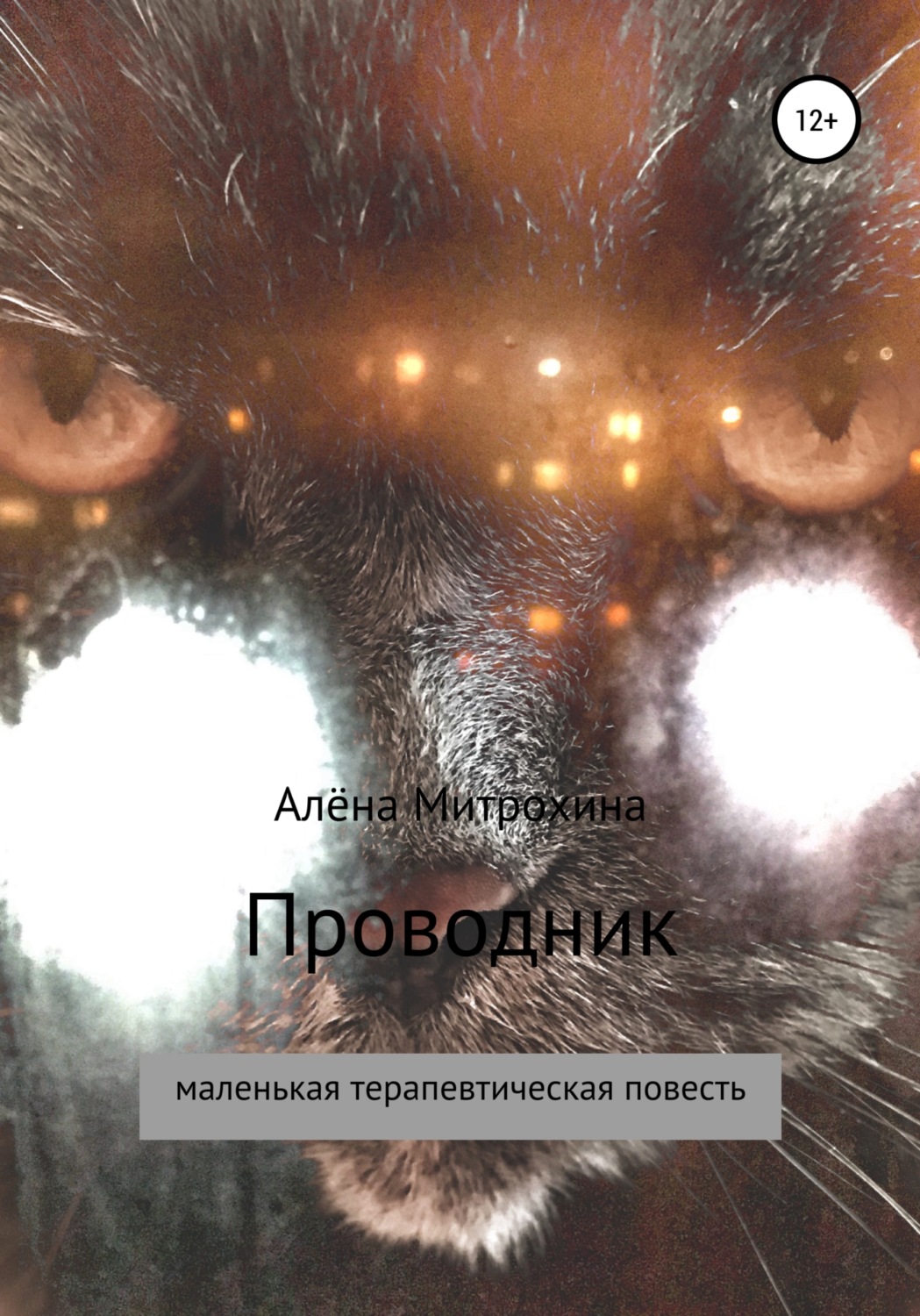 Обложка книги «Проводник»