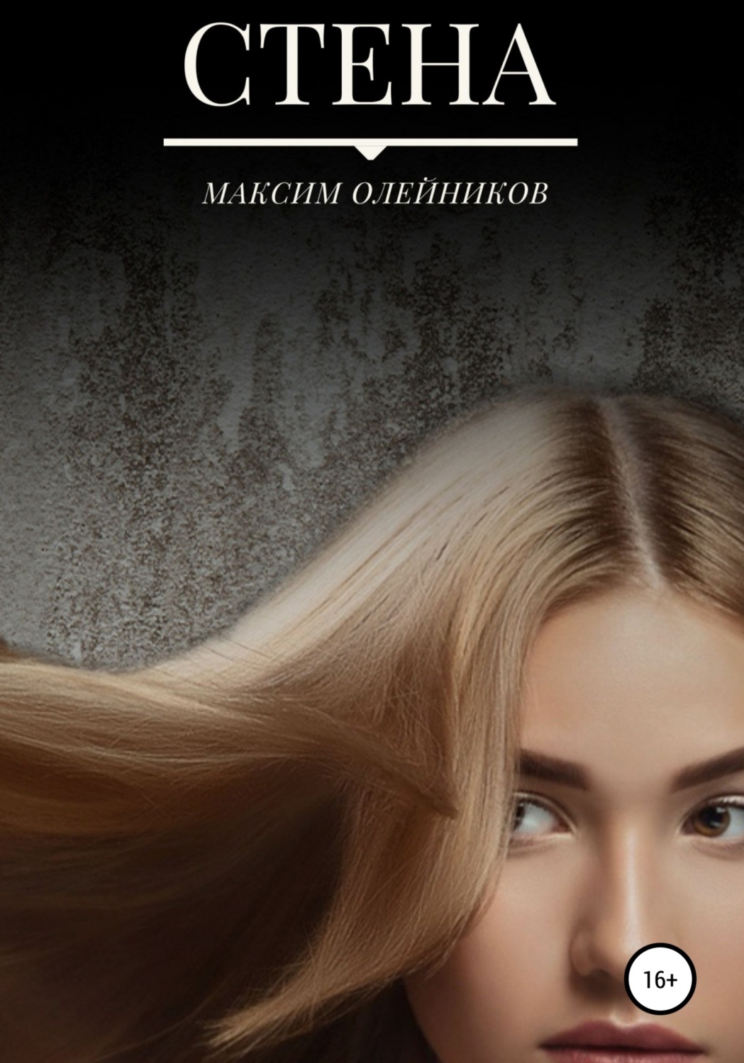 Обложка книги «Стена»