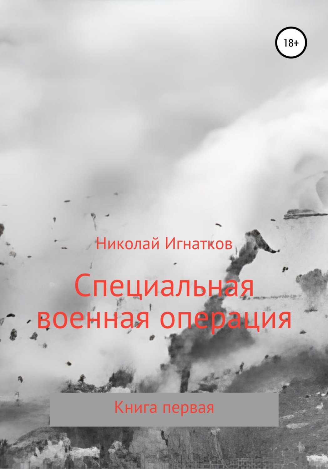 Обложка книги «Специальная военная операция. Книга первая»