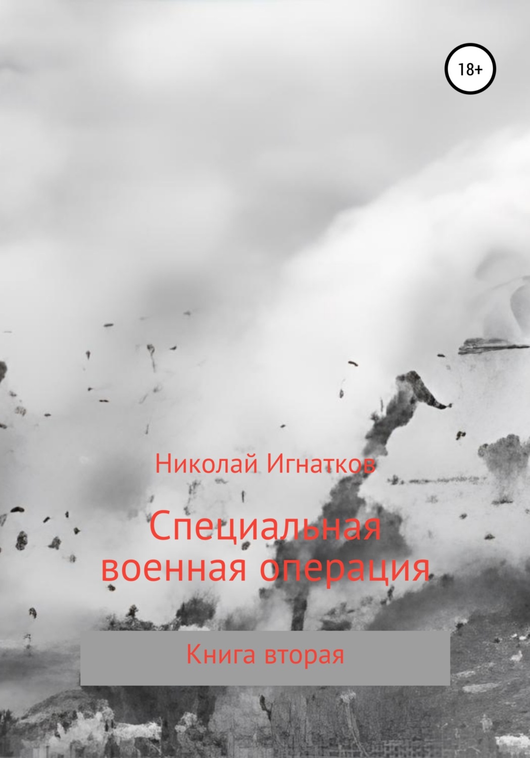 Обложка книги «Специальная военная операция. Книга вторая»
