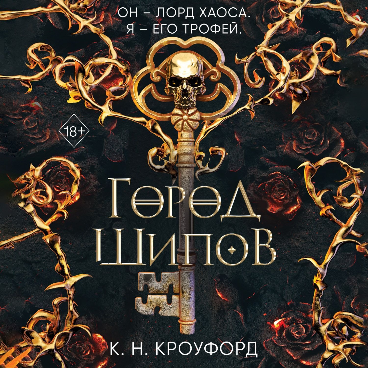 Обложка книги «Город Шипов»