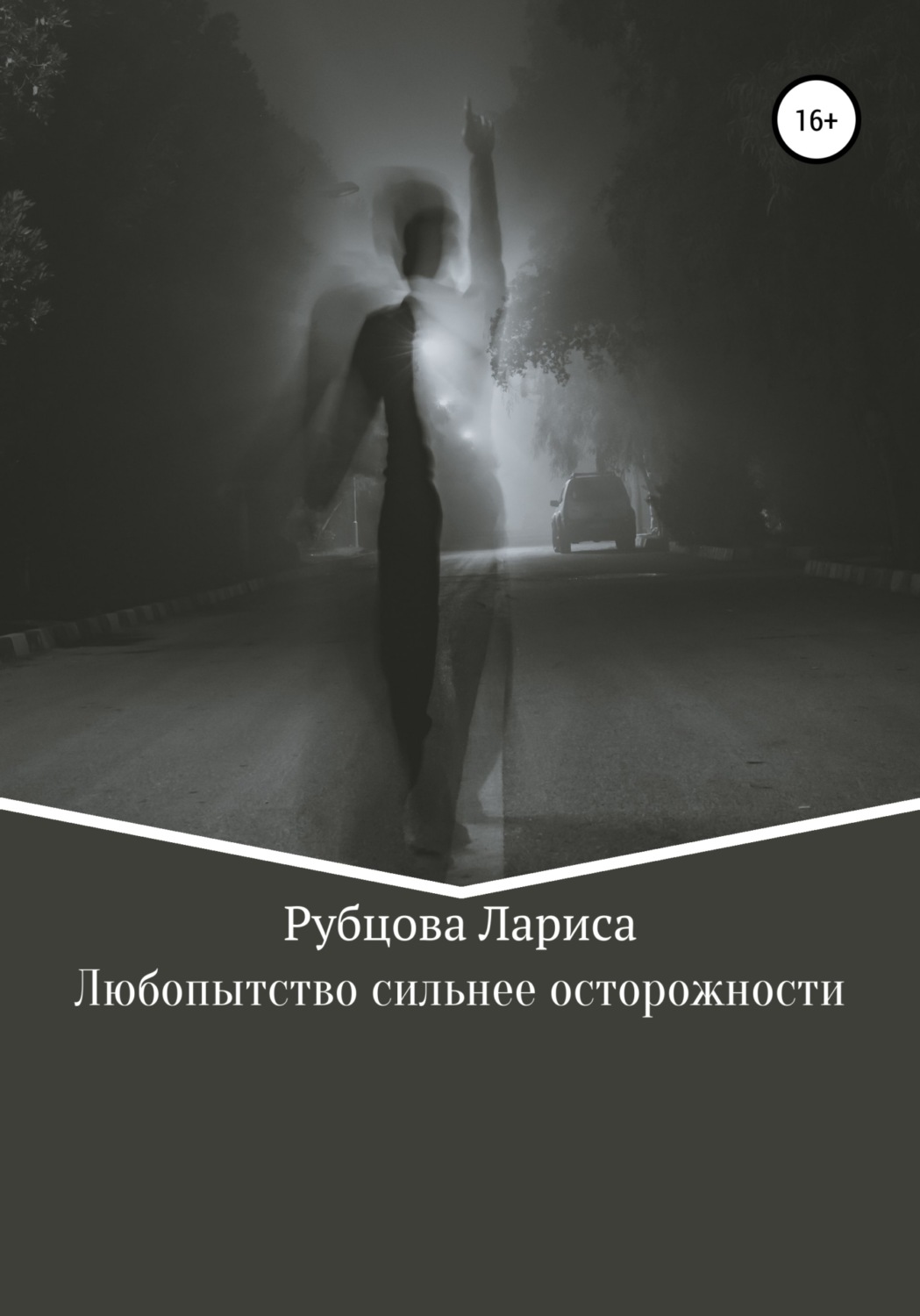 Обложка книги «Любопытство сильнее осторожности»