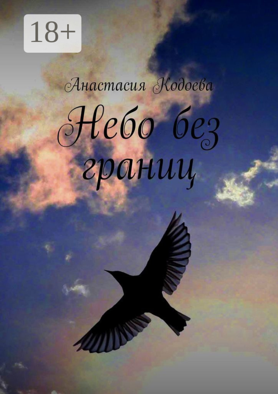 Обложка книги «Небо без границ»