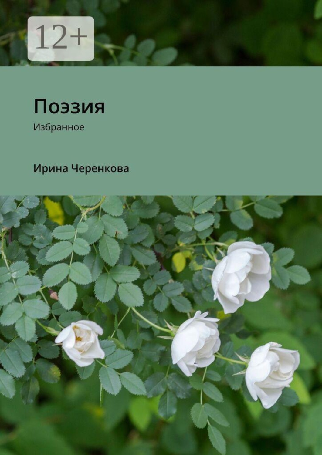 Обложка книги «Поэзия. Избранное»