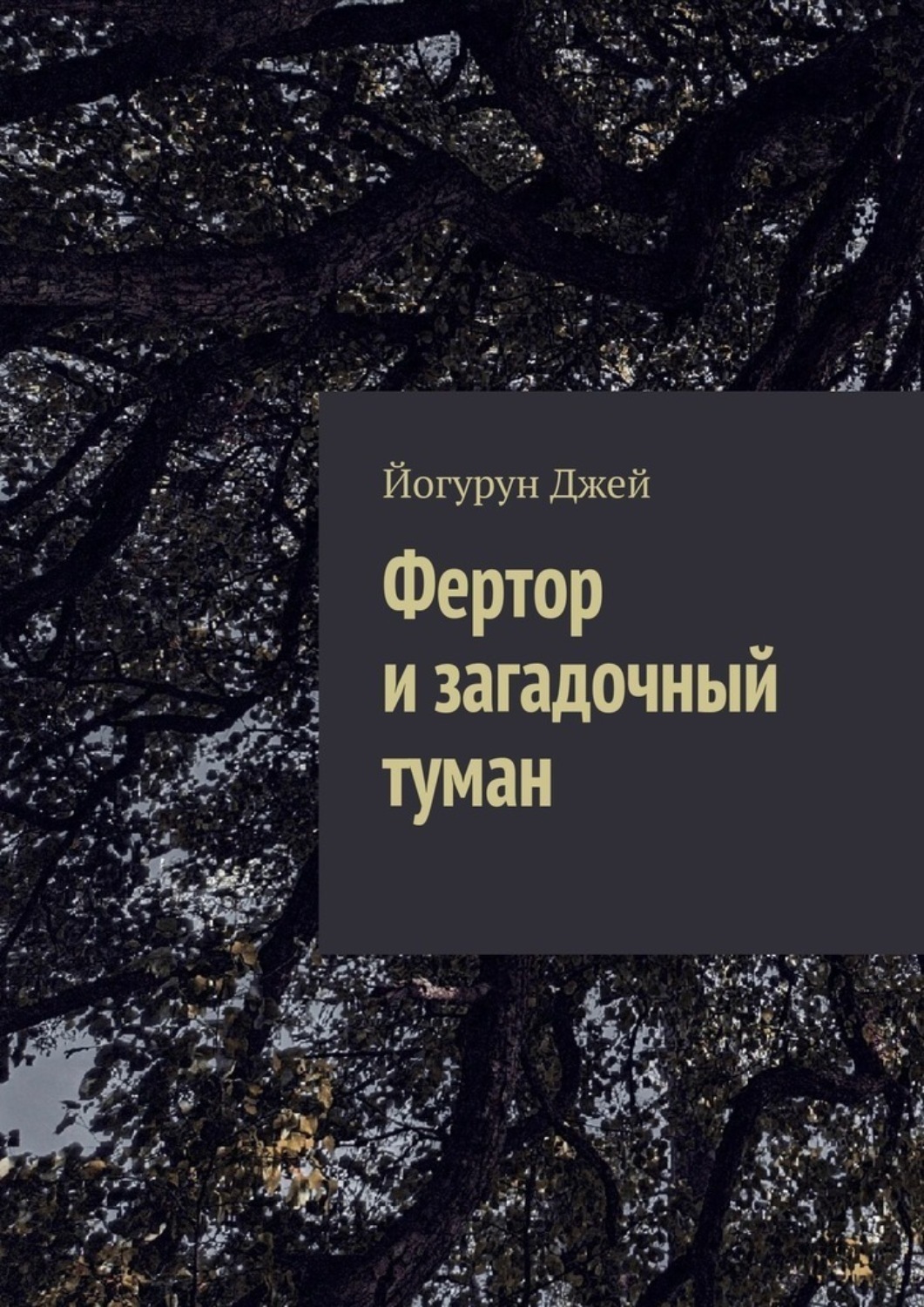 Обложка книги «Фертор и загадочный туман»