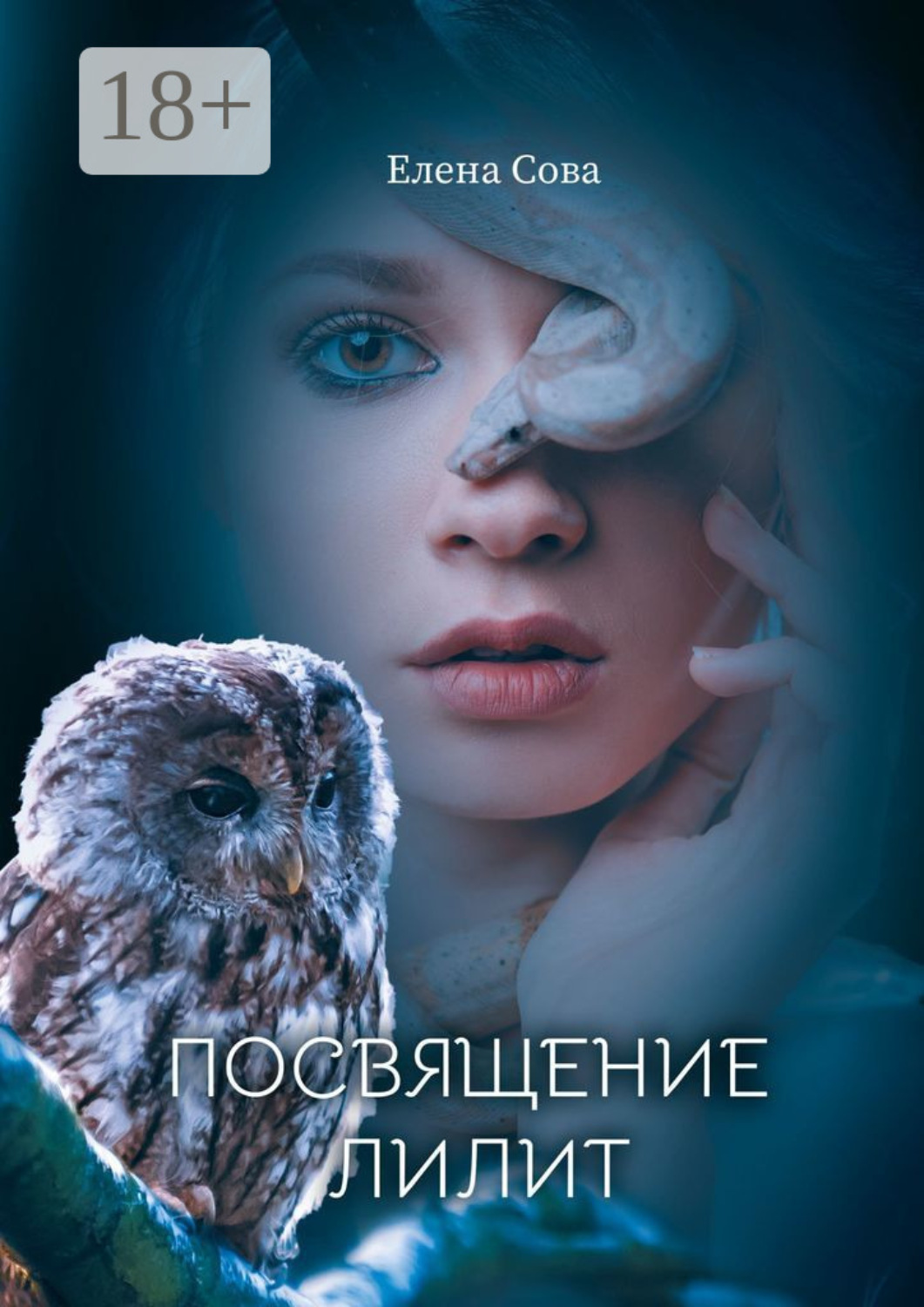 Обложка книги «Посвящение Лилит»