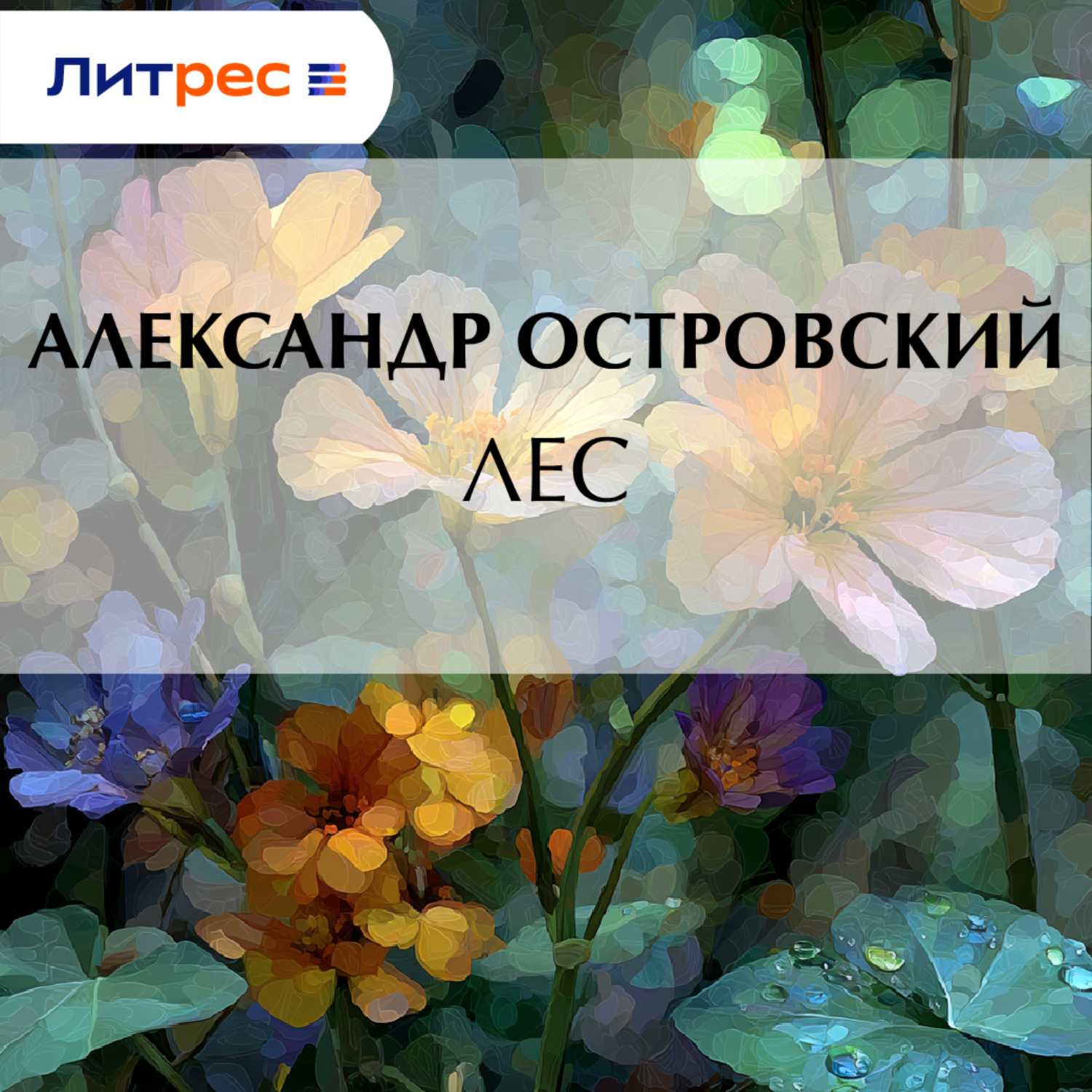 Обложка книги «Лес»