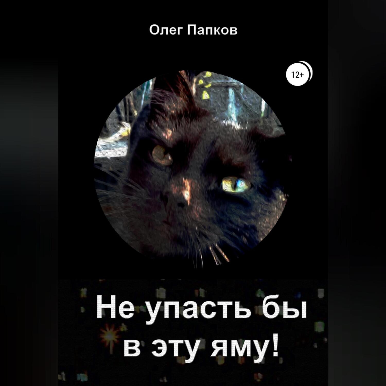 Обложка книги «Не упасть бы в эту яму!»