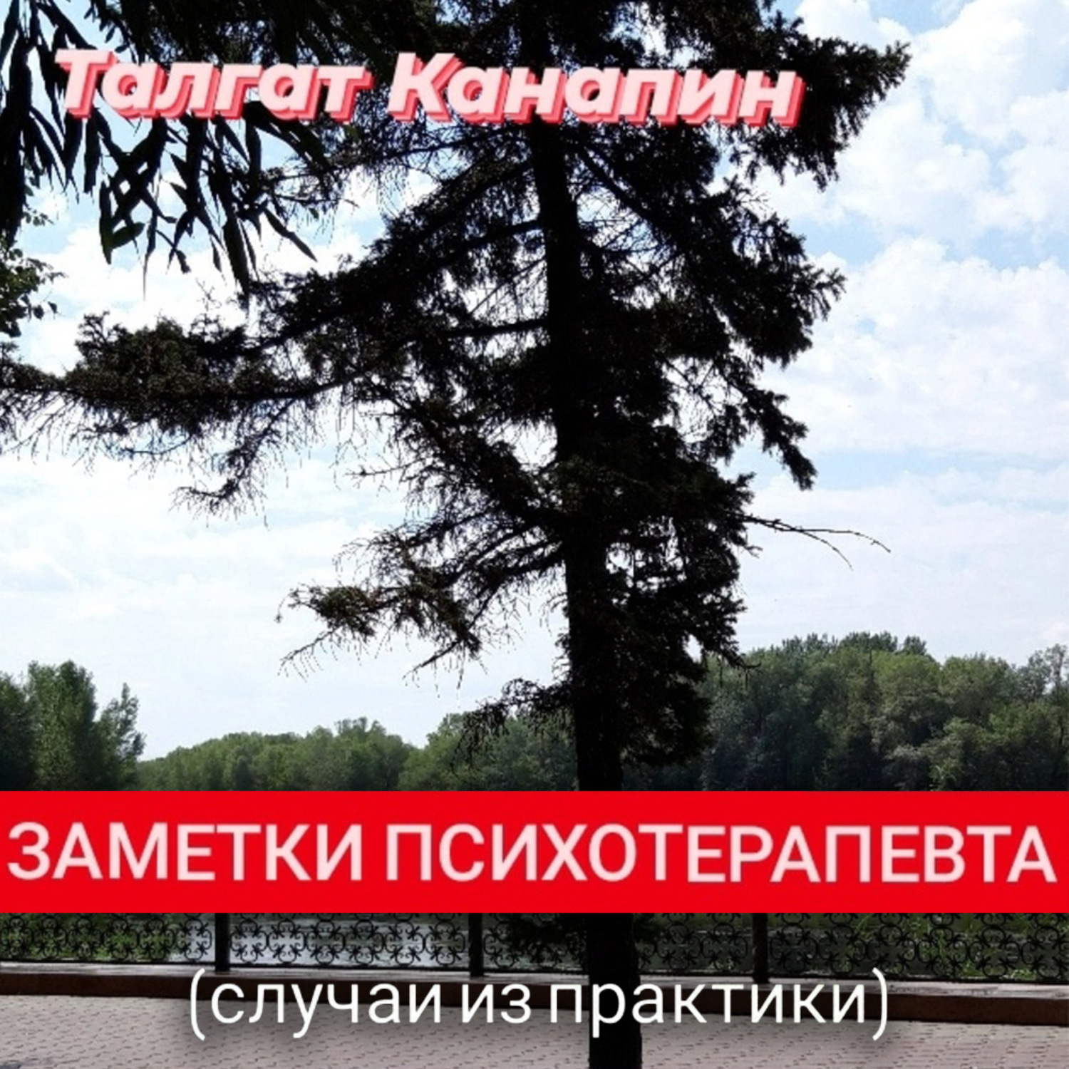 Обложка книги «Заметки психотерапевта»