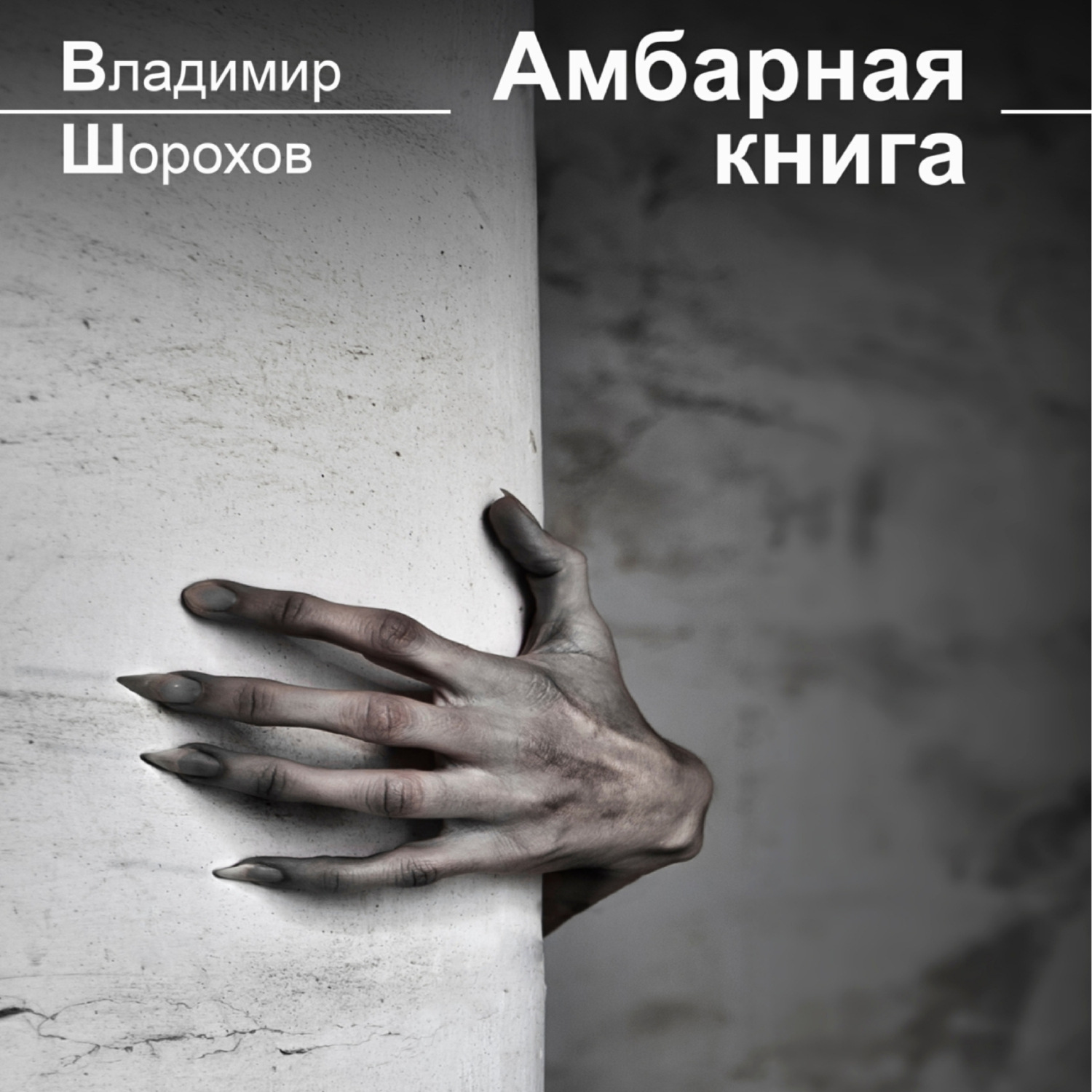 Обложка книги «Амбарная книга»