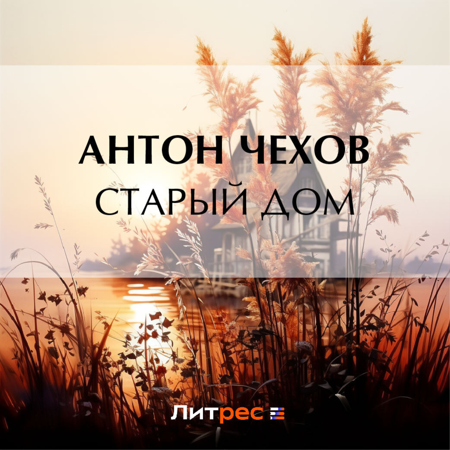 Обложка книги «Старый дом»